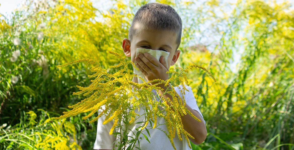 How Can I Help Manage Seasonal Allergies in Kids? - Parsi Pediatrics